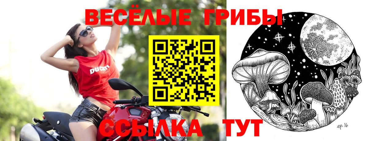 Псилоцибиновые грибы прущие грибы  Вход с VPN  Канаш  Псилоцибиновые грибы ЛСД 